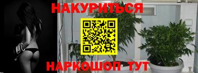 кокс Будённовск